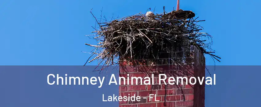 Chimney Animal Removal Lakeside - FL