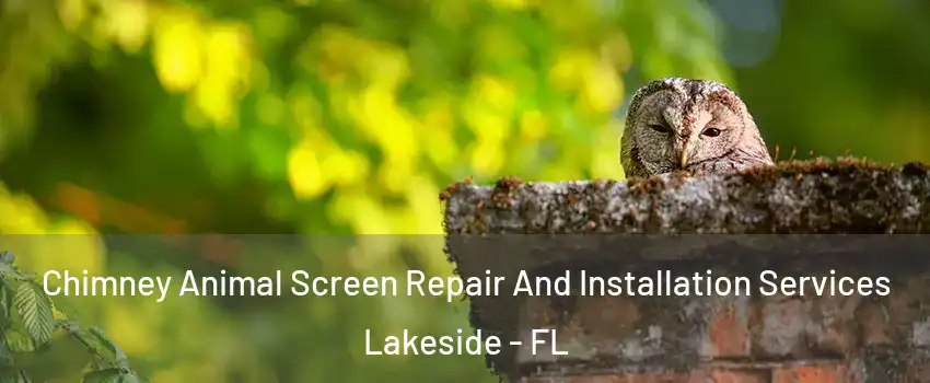  Chimney Animal Screen Repair And Installation Services Lakeside - FL