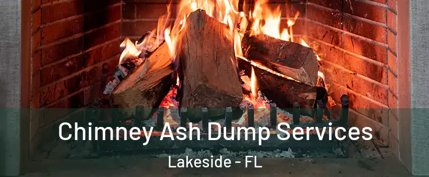 Chimney Ash Dump Services Lakeside - FL