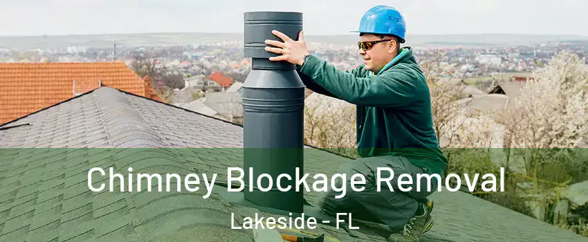  Chimney Blockage Removal Lakeside - FL