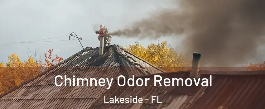  Chimney Odor Removal Lakeside - FL