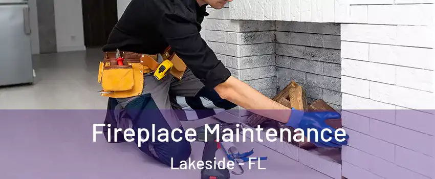  Fireplace Maintenance Lakeside - FL