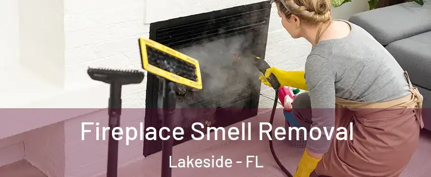  Fireplace Smell Removal Lakeside - FL