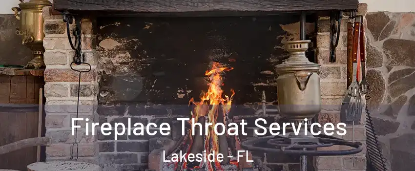  Fireplace Throat Services Lakeside - FL