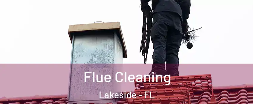  Flue Cleaning Lakeside - FL