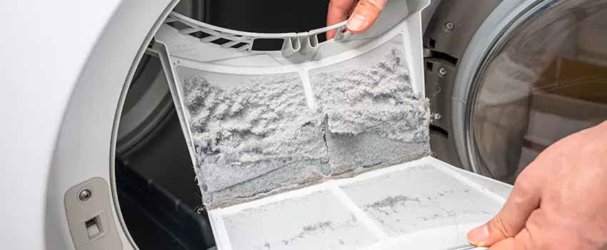 Best Dryer Lint Removal Company in Lakeside, Florida