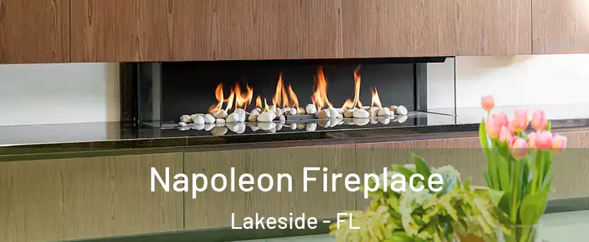  Napoleon Fireplace Lakeside - FL
